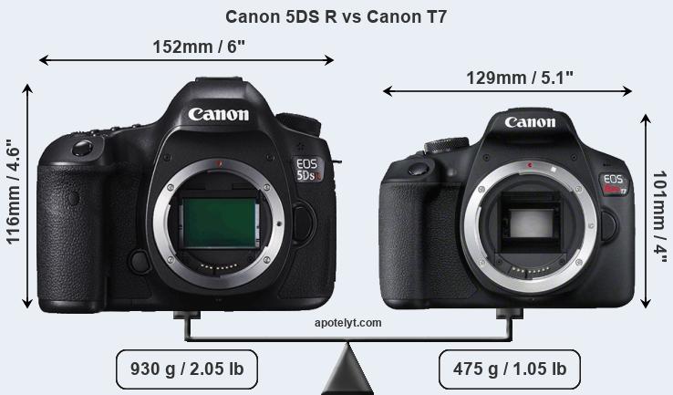 Size Canon 5DS R vs Canon T7