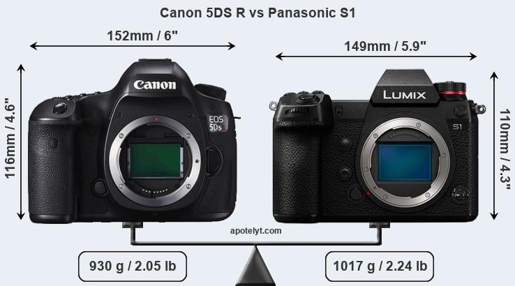 Size Canon 5DS R vs Panasonic S1