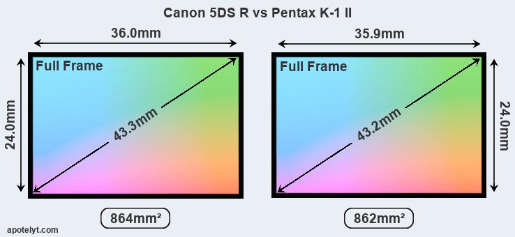Canon 5DS R and Pentax K-1 II sensor measures