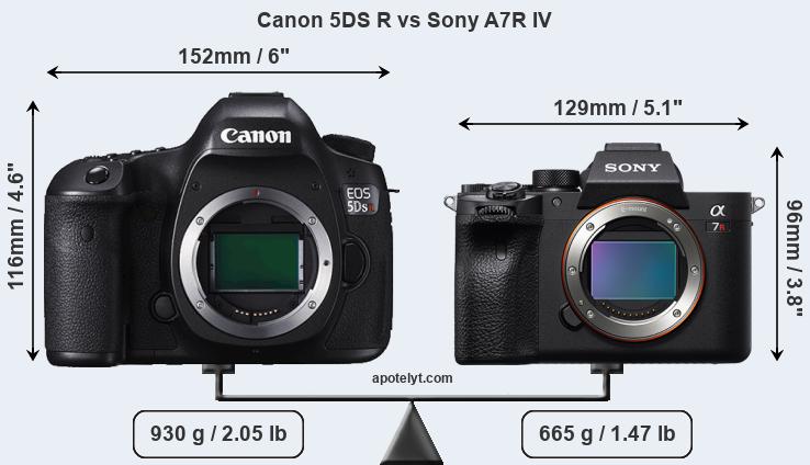 Size Canon 5DS R vs Sony A7R IV
