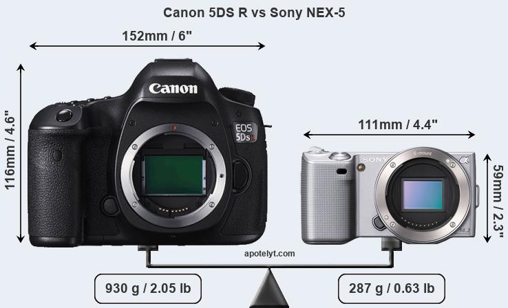 Size Canon 5DS R vs Sony NEX-5