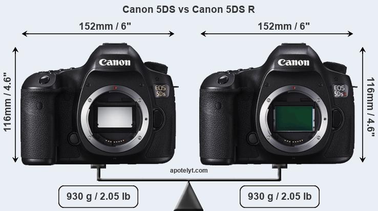Size Canon 5DS vs Canon 5DS R