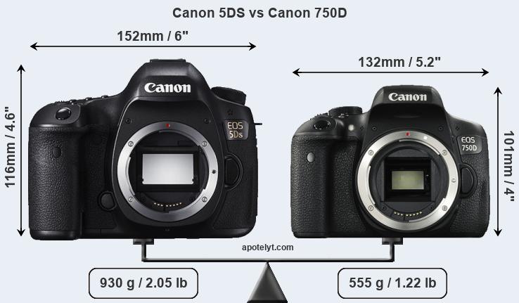 Size Canon 5DS vs Canon 750D
