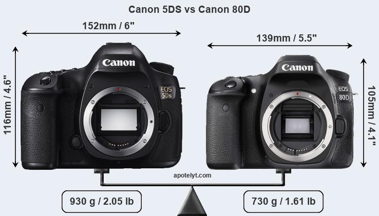 Size Canon 5DS vs Canon 80D