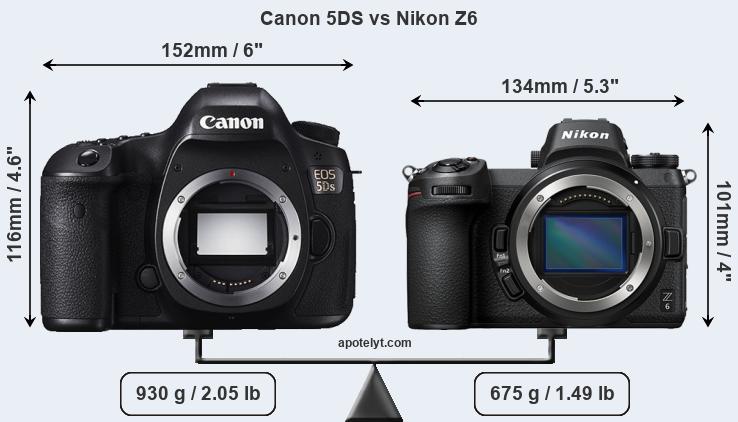 Size Canon 5DS vs Nikon Z6