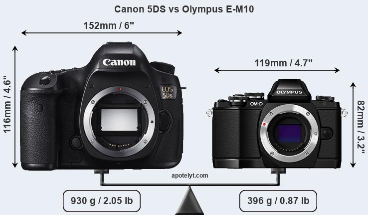 Size Canon 5DS vs Olympus E-M10