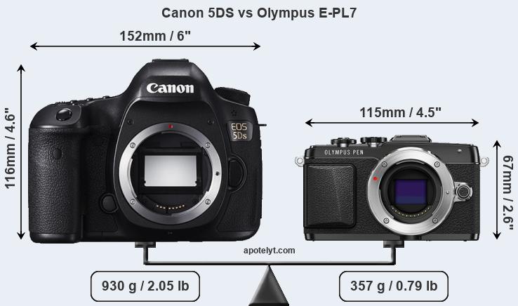 Size Canon 5DS vs Olympus E-PL7
