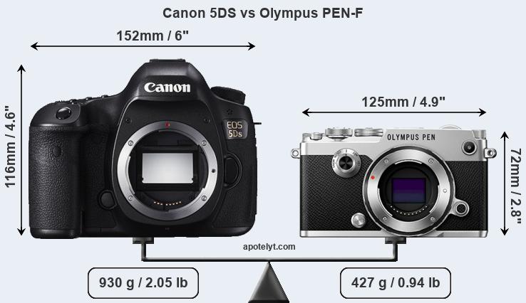 Size Canon 5DS vs Olympus PEN-F