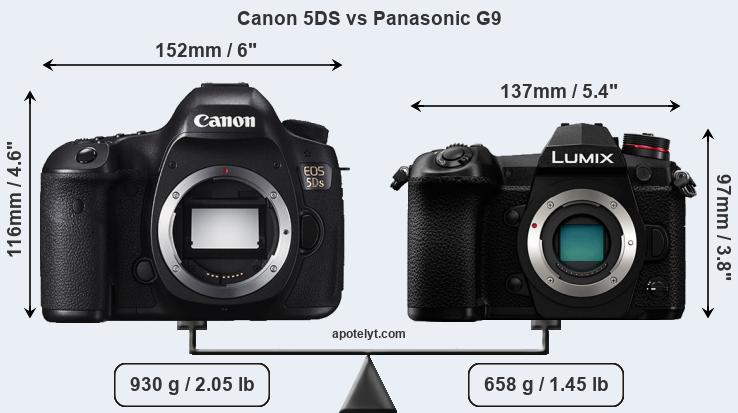 Size Canon 5DS vs Panasonic G9