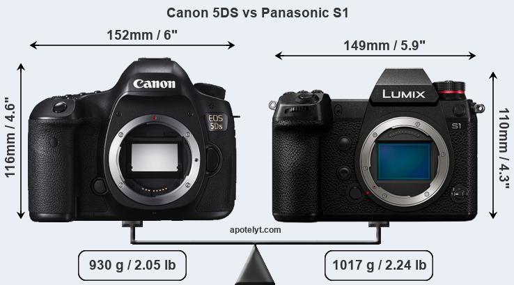 Size Canon 5DS vs Panasonic S1
