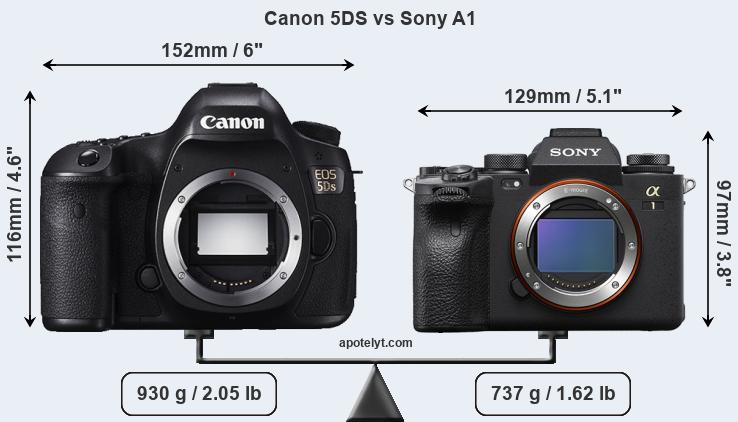 Size Canon 5DS vs Sony A1