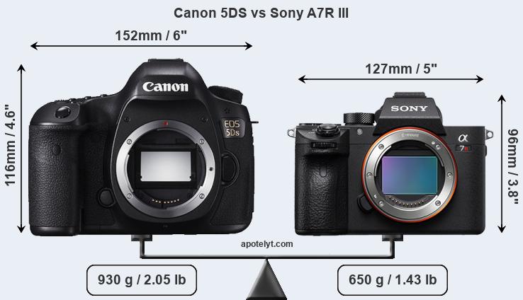 Size Canon 5DS vs Sony A7R III