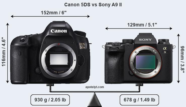 Size Canon 5DS vs Sony A9 II
