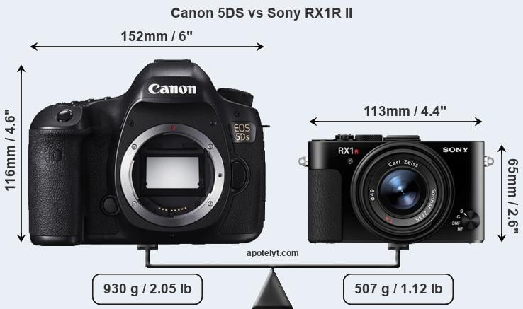 Size Canon 5DS vs Sony RX1R II