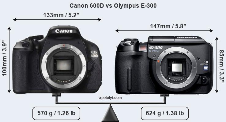 Size Canon 600D vs Olympus E-300