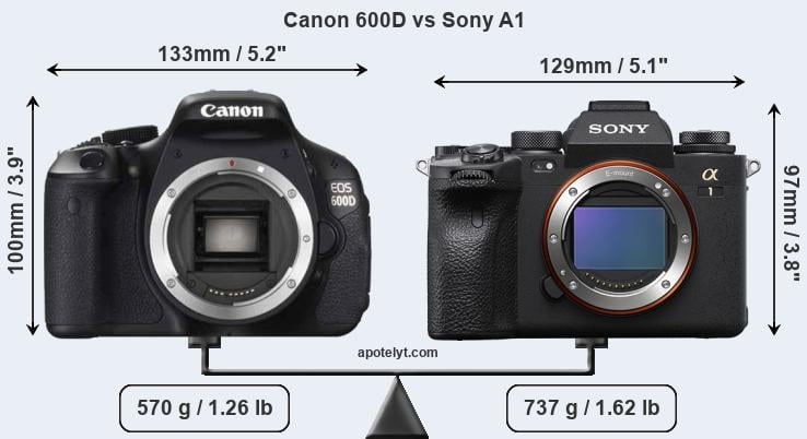 Size Canon 600D vs Sony A1
