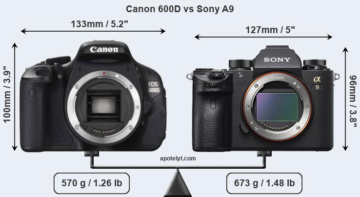 Size Canon 600D vs Sony A9