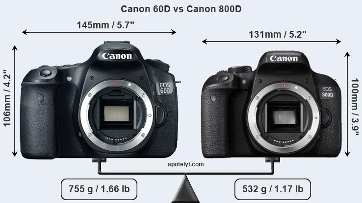 Size Canon 60D vs Canon 800D