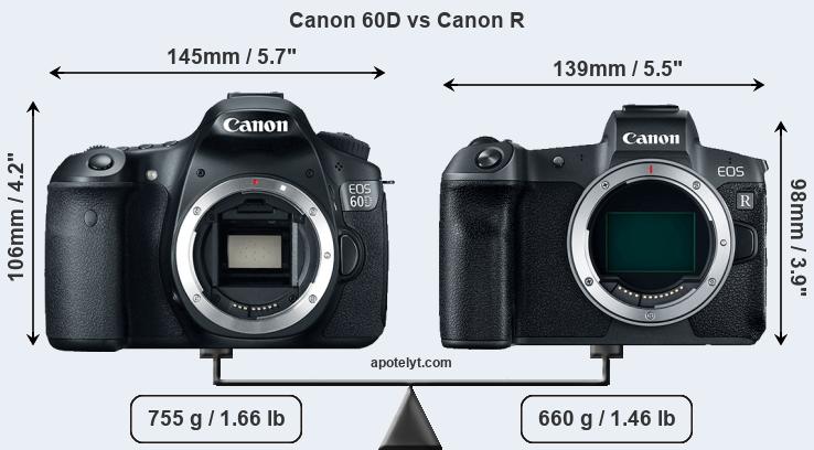 Size Canon 60D vs Canon R