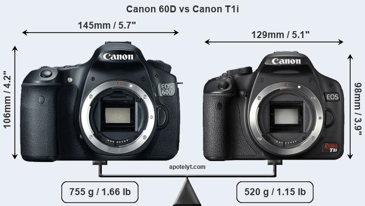 Size Canon 60D vs Canon T1i