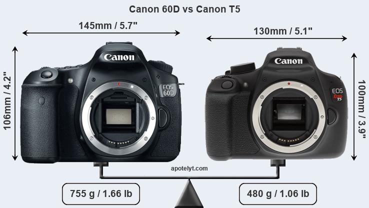 Size Canon 60D vs Canon T5