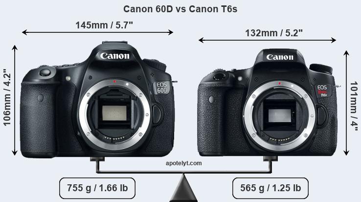 Size Canon 60D vs Canon T6s