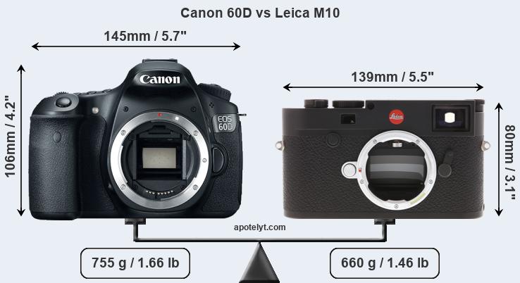 Size Canon 60D vs Leica M10