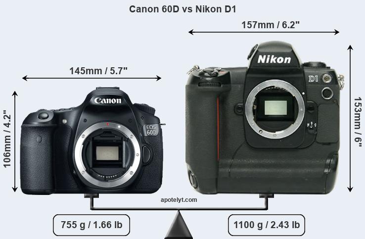 Size Canon 60D vs Nikon D1