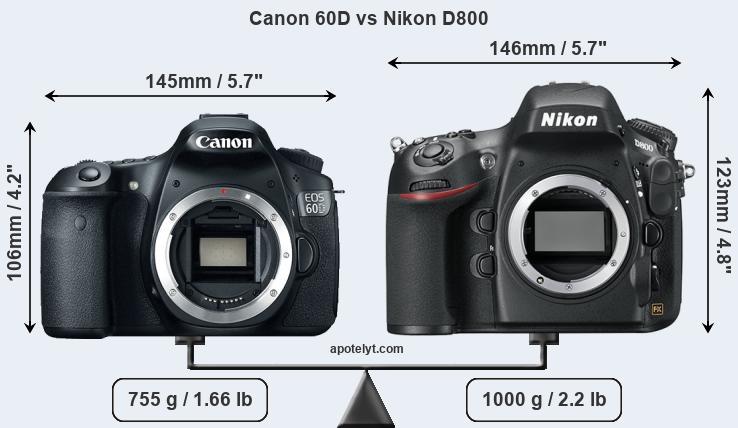 Size Canon 60D vs Nikon D800