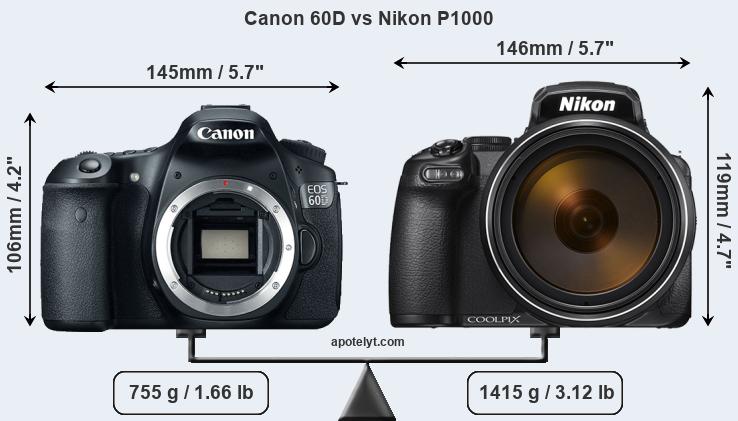 Size Canon 60D vs Nikon P1000