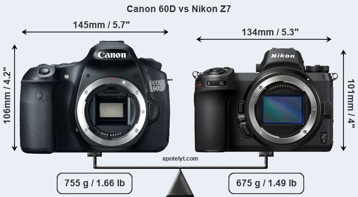 Size Canon 60D vs Nikon Z7