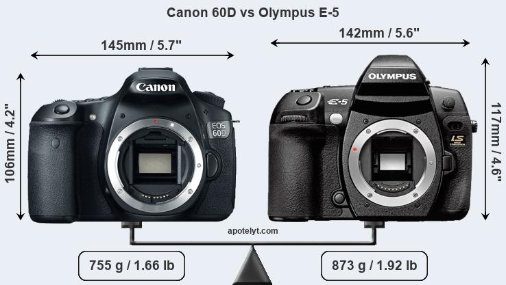 Size Canon 60D vs Olympus E-5