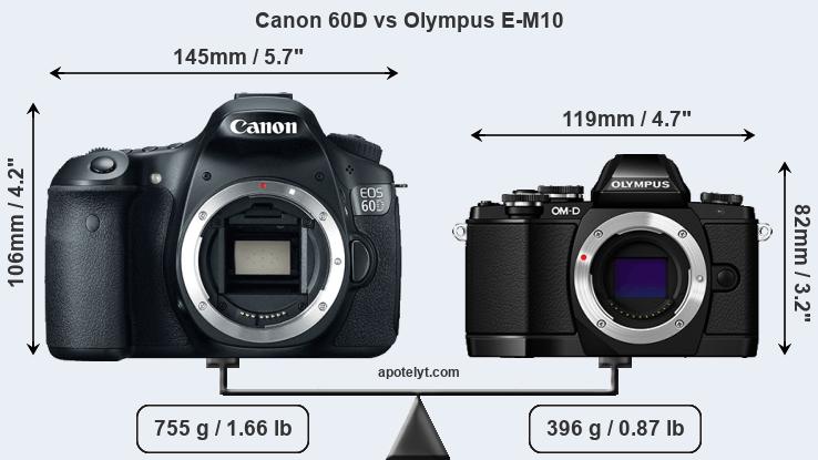 Size Canon 60D vs Olympus E-M10