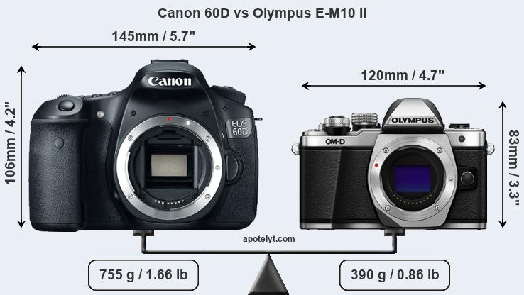 Size Canon 60D vs Olympus E-M10 II