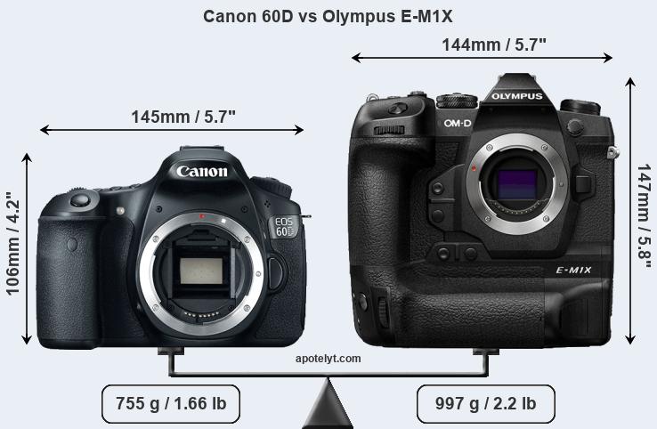 Size Canon 60D vs Olympus E-M1X