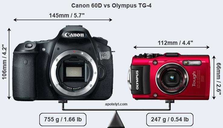 Size Canon 60D vs Olympus TG-4