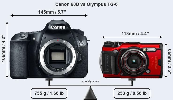 Size Canon 60D vs Olympus TG-6