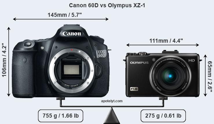 Size Canon 60D vs Olympus XZ-1
