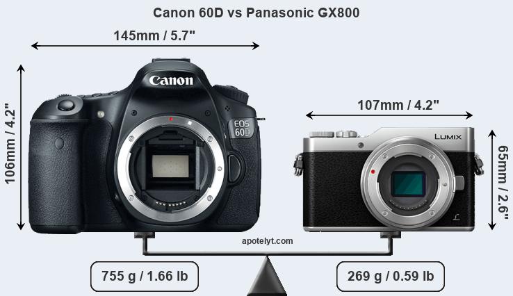 Size Canon 60D vs Panasonic GX800