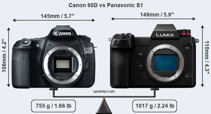 Size Canon 60D vs Panasonic S1