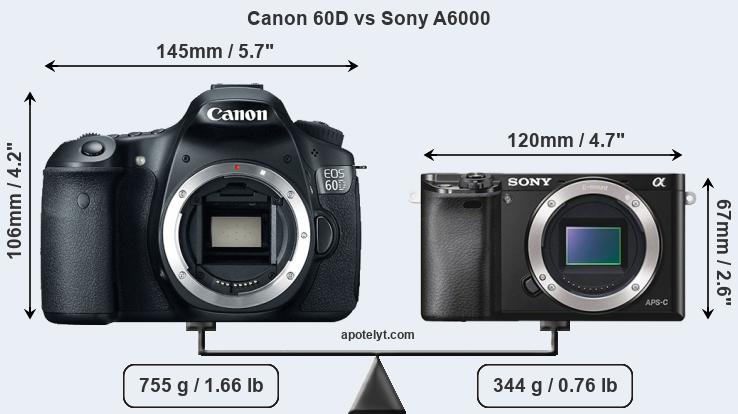 Size Canon 60D vs Sony A6000