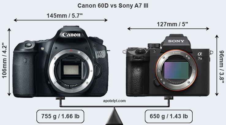 Size Canon 60D vs Sony A7 III