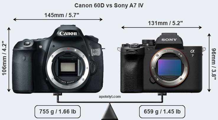 Size Canon 60D vs Sony A7 IV