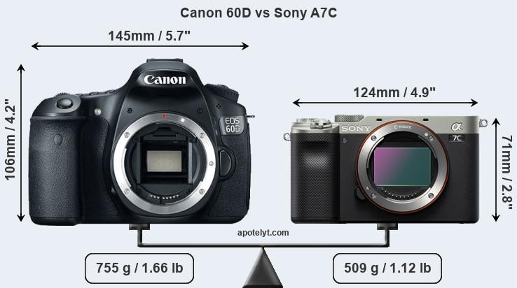 Size Canon 60D vs Sony A7C