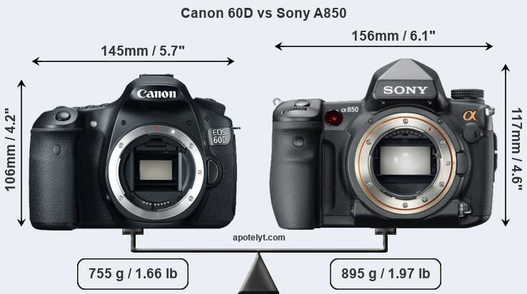 Size Canon 60D vs Sony A850