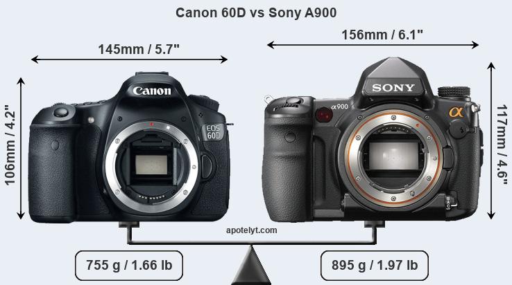 Size Canon 60D vs Sony A900
