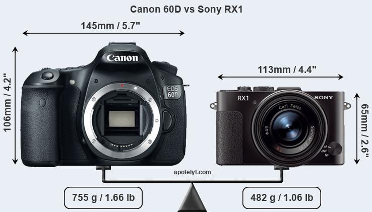Size Canon 60D vs Sony RX1