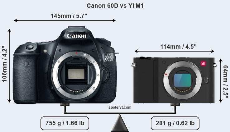 Size Canon 60D vs YI M1