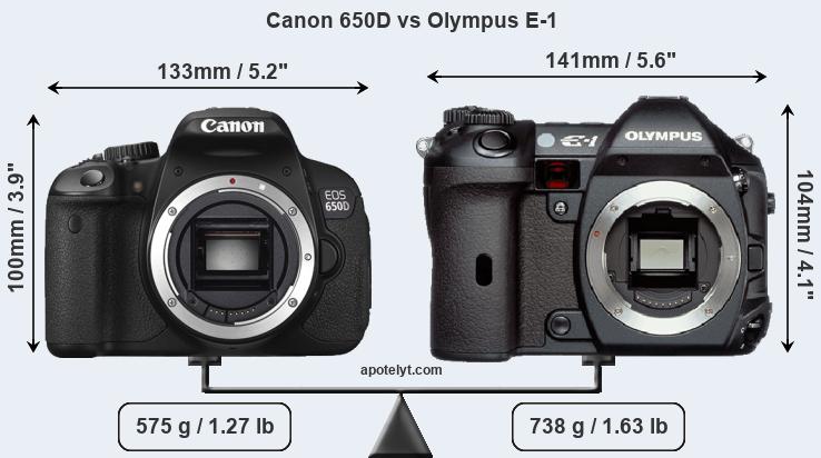 Size Canon 650D vs Olympus E-1