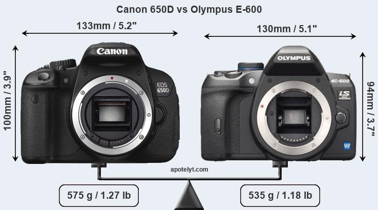 Size Canon 650D vs Olympus E-600